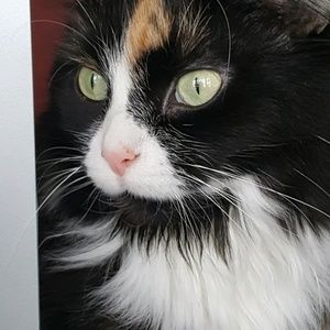 Meet your Posher, Karen